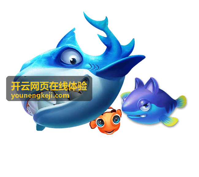 开云网页在线体验本地服务门店预约页案例